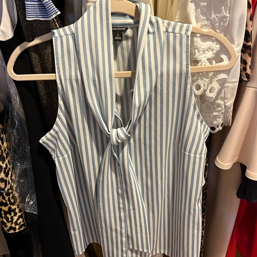 Ann Taylor
